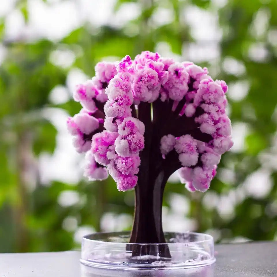 ✨Magic of Snowflake Cherry Blossoming Tree